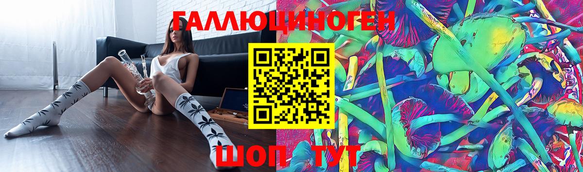 Псилоцибиновые грибы мицелий Будённовск