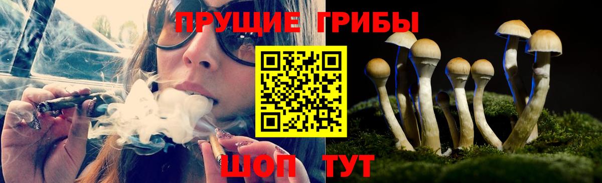 Галлюциногенные грибы мицелий  Галлюциногенные грибы ЛСД  Будённовск  Вход с VPN 